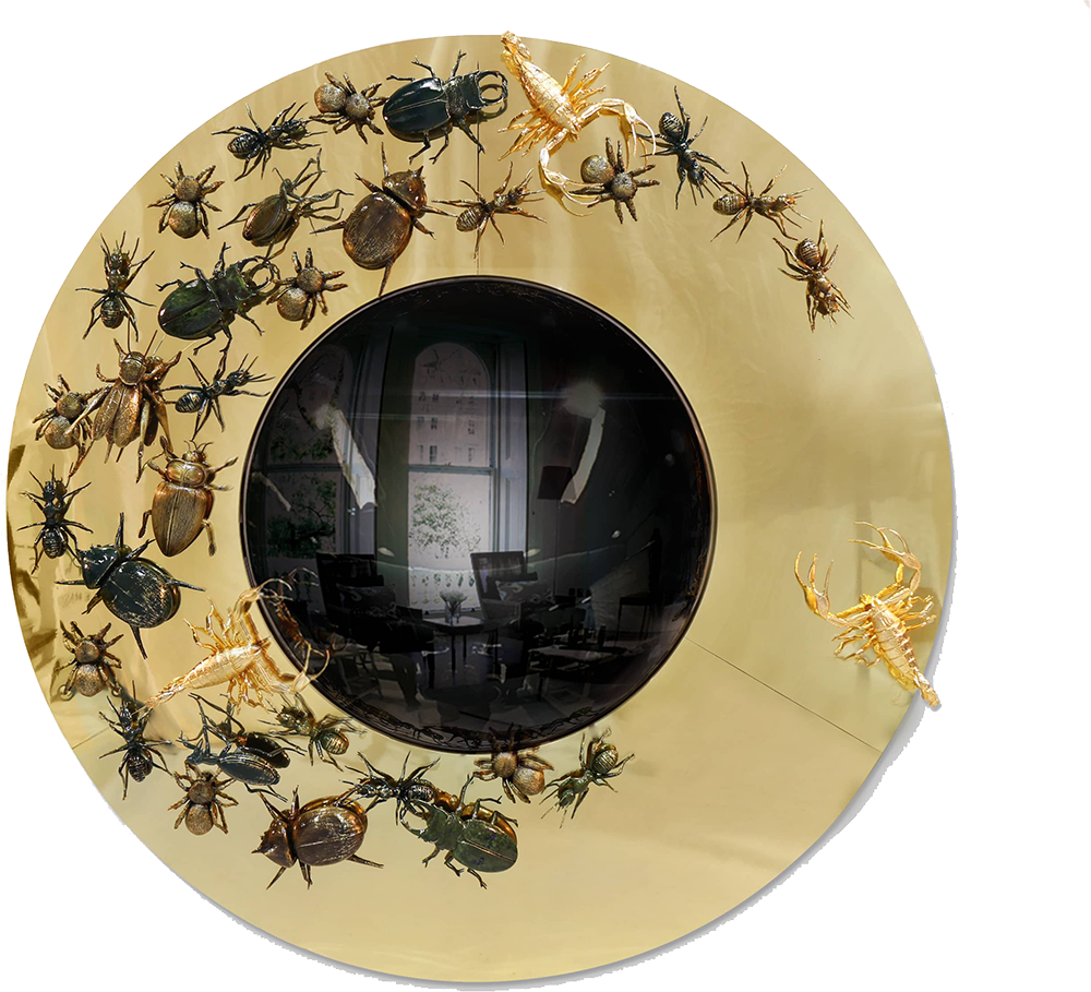 Embellished Mirror with Brass Outer Frame