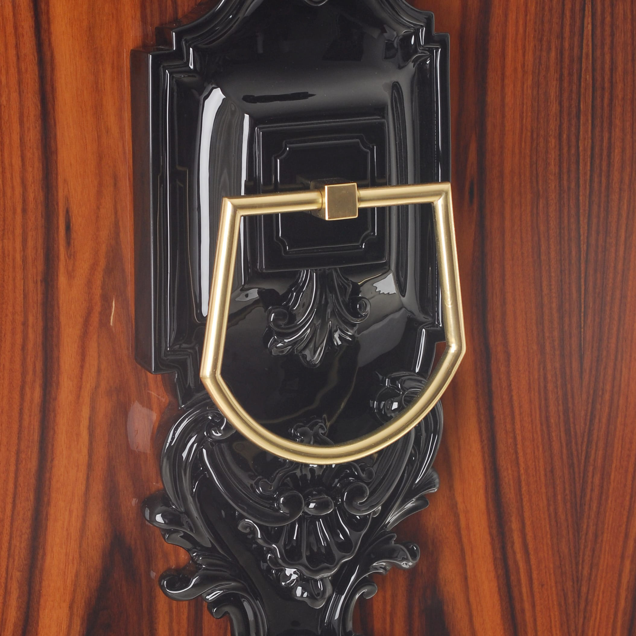 GUGGENHEIM Decadent Black Mahogany Cabinet with Door Panel in Red Brown Rosewood 