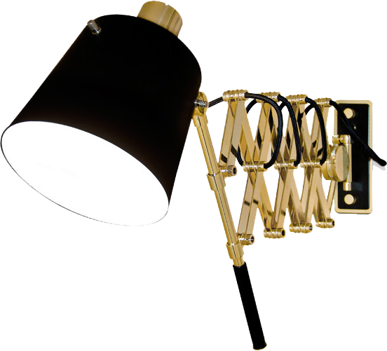 Decorative Metallic Gold Brass Wall Mounted Light with Black Aluminium Shade